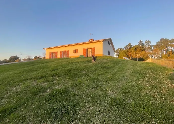 Apartment Quinta Da Barrosa